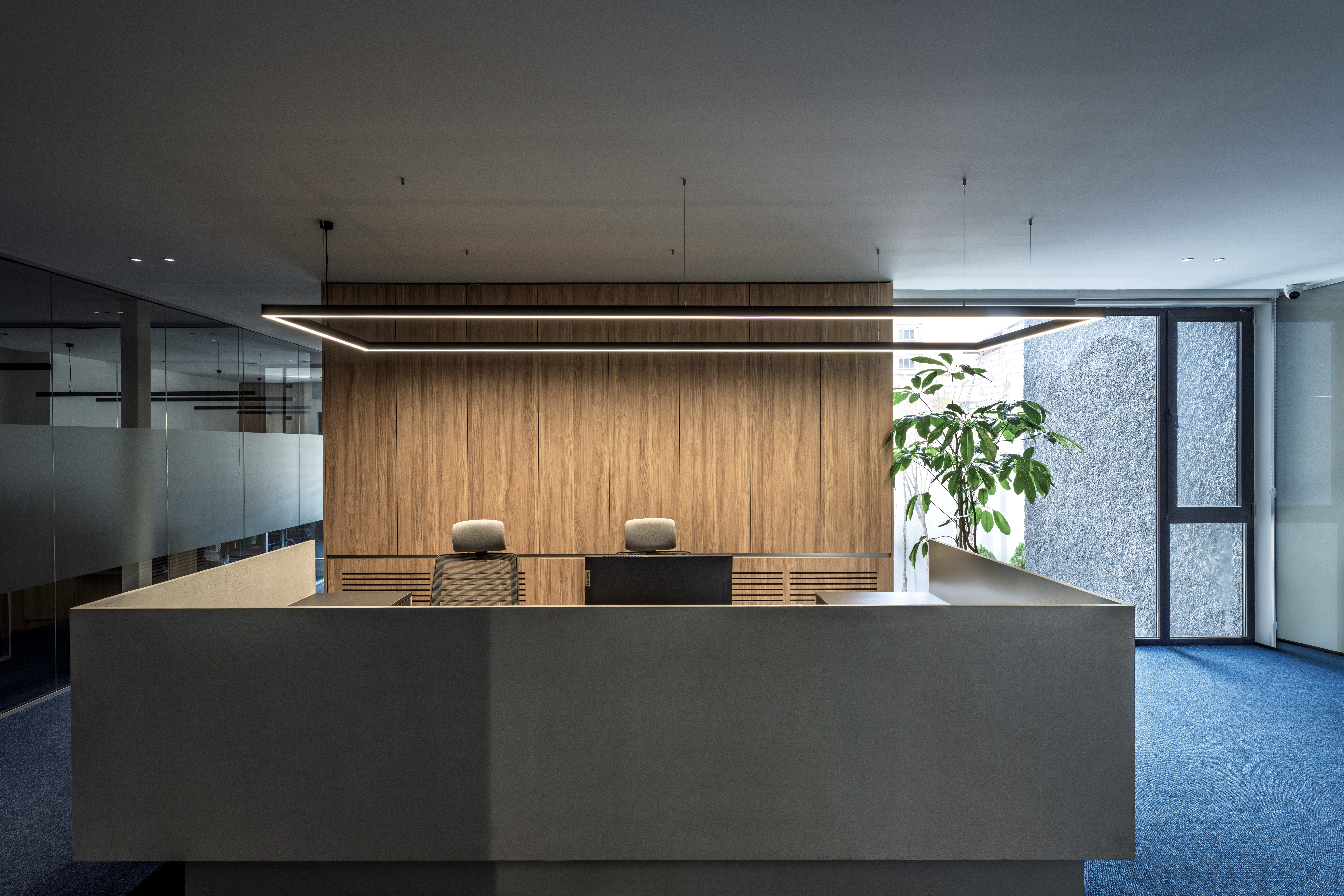 Mojdeh Office