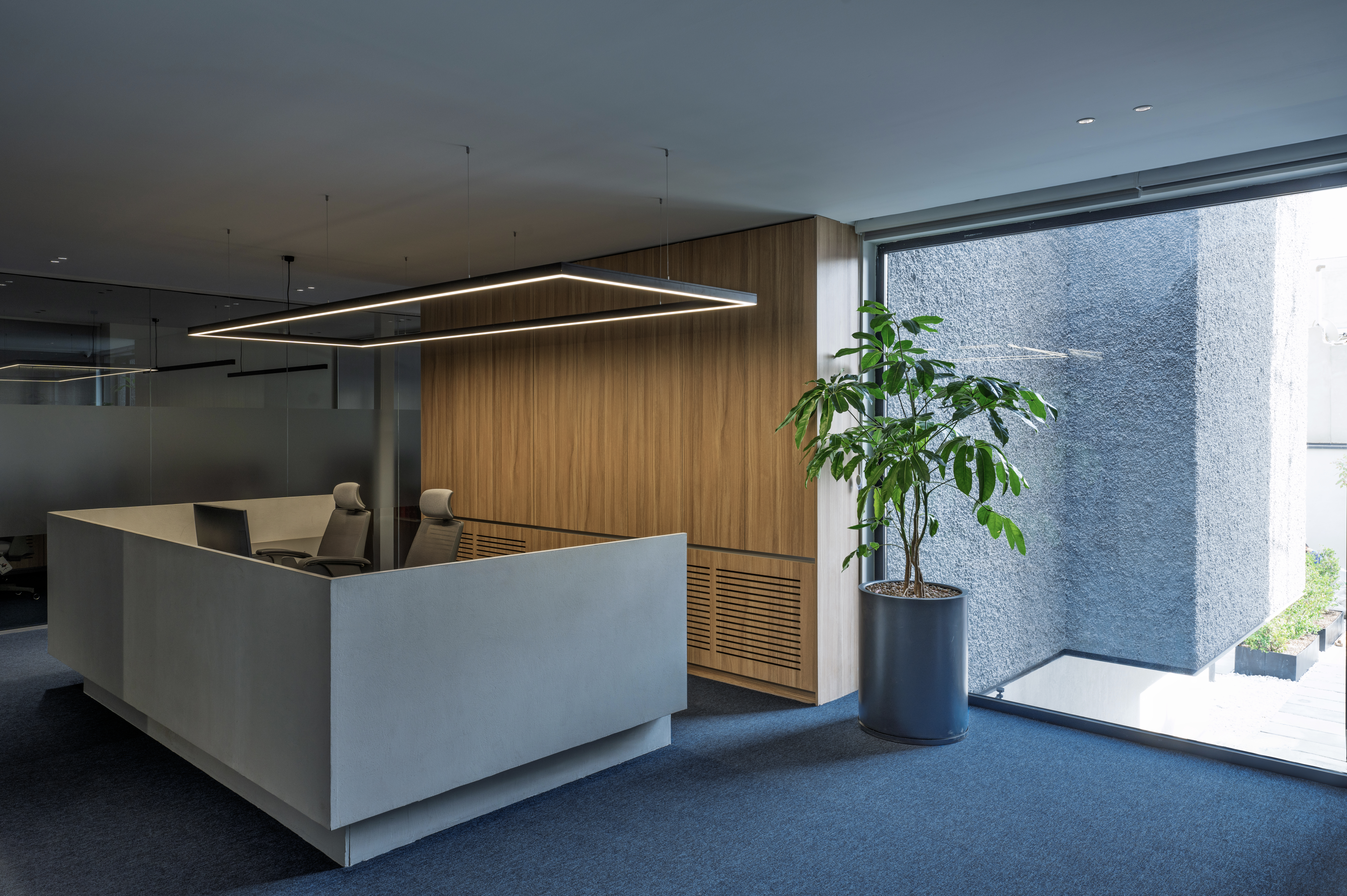 Mojdeh Office